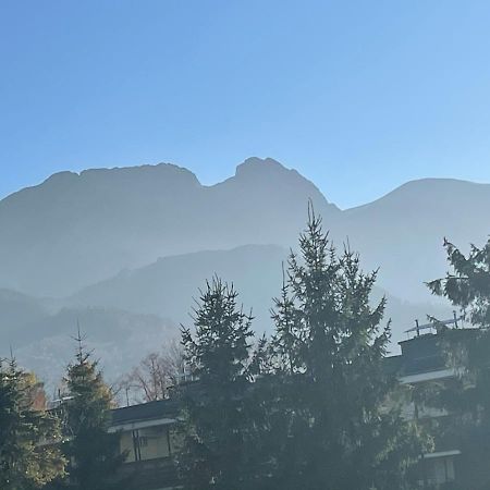 Apartamentylove - Apartament U Janicka, 100M Do Krupowek 扎科帕内 外观 照片
