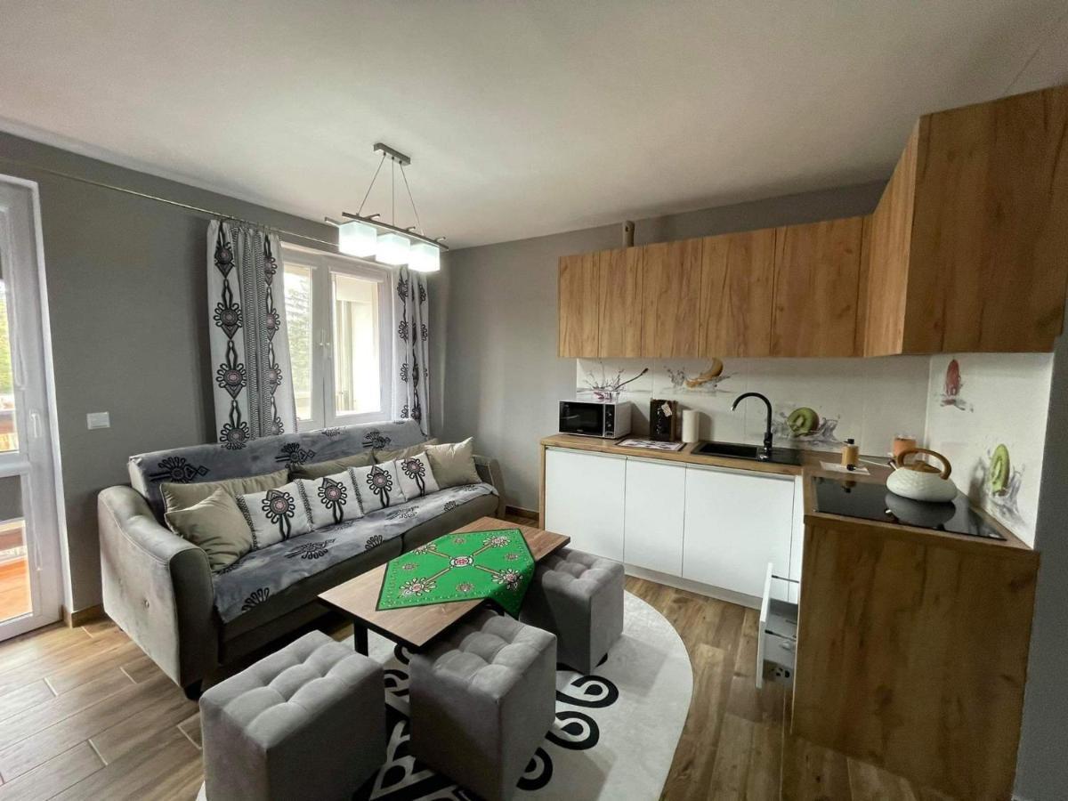 Apartamentylove - Apartament U Janicka, 100M Do Krupowek 扎科帕内 外观 照片