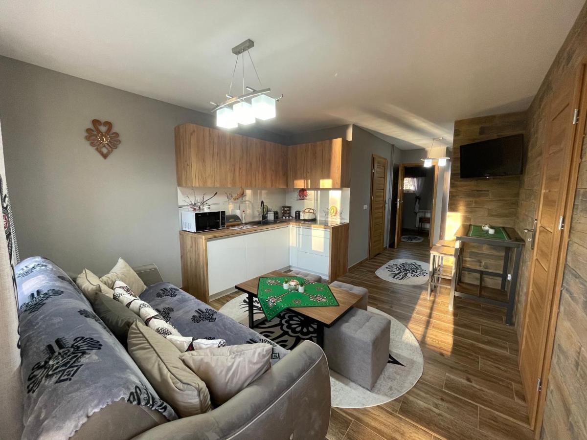 Apartamentylove - Apartament U Janicka, 100M Do Krupowek 扎科帕内 外观 照片