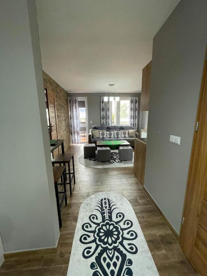 Apartamentylove - Apartament U Janicka, 100M Do Krupowek 扎科帕内 外观 照片
